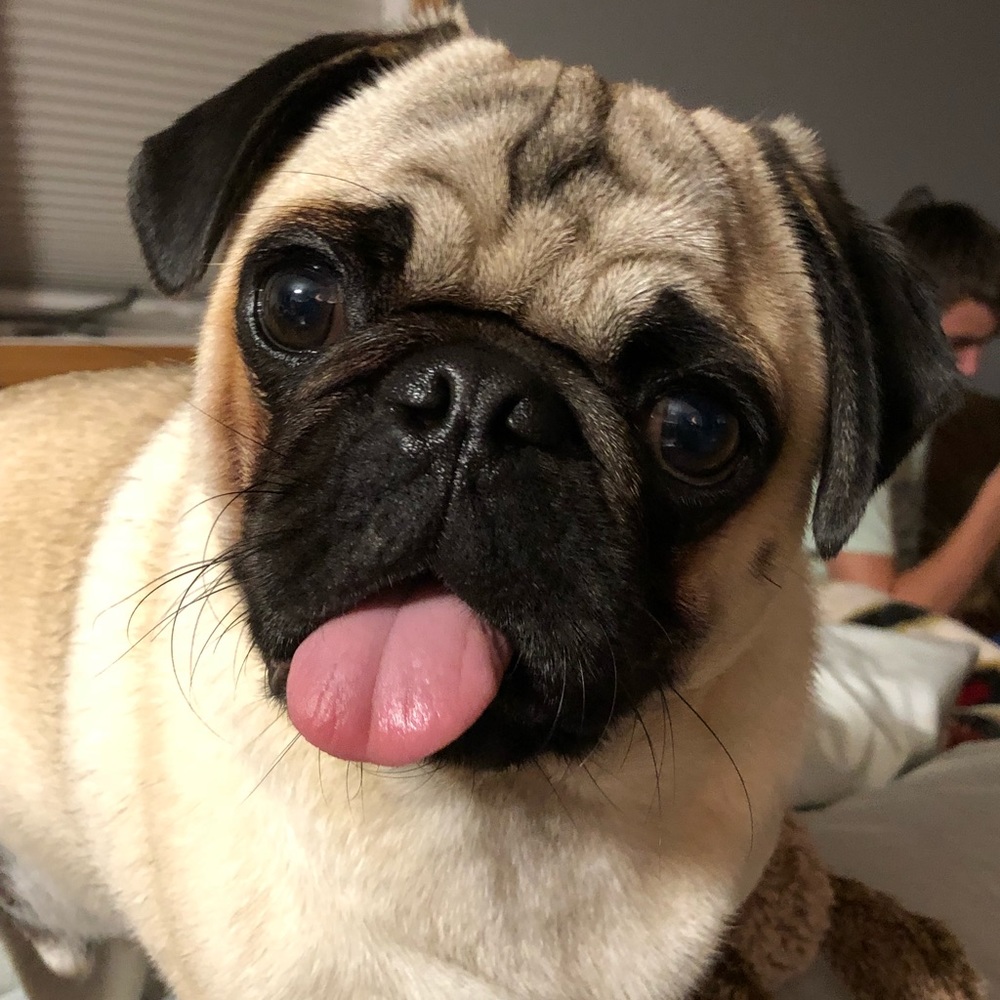 Meet your Posher, Ronda